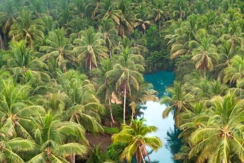 Siargao – Đảo thiên đường của Philippines