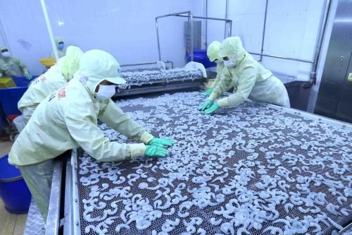Cổ phiếu thủy sản tăng mạnh trước kỳ vọng mới