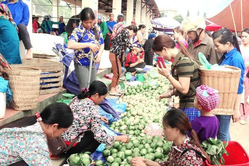 Mường Khương (Lào Cai): Đẩy mạnh sản xuất nông nghiệp hàng hóa