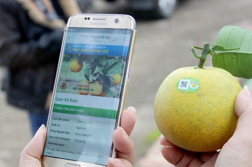 Nghệ An thúc đẩy chuyển đổi số trong lĩnh vực nông nghiệp và du lịch