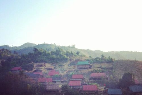 Nghệ An: Con nghiện chém thương vong 2 mẹ con rồi ăn lá ngón tự tử