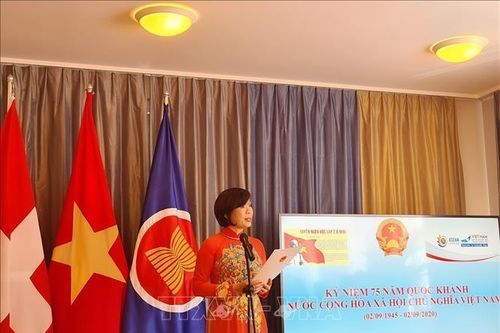 Cơ quan đại diện Ngoại giao Việt Nam tại Geneva gặp gỡ bà con Việt kiều