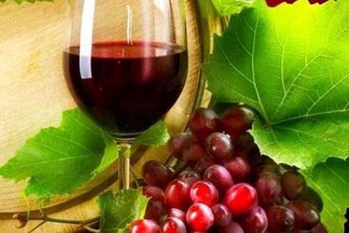 Nho và rượu nho, món quà quý của thiên nhiên