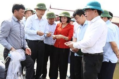 Những đề xuất, tham mưu của Ban Kinh tế Trung ương đã góp phần quan trọng phát triển kinh tế đất nước