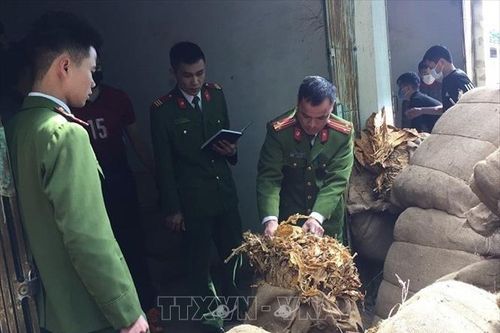 Đấu tranh với thủ đoạn buôn lậu thuốc lá nguyên liệu tinh vi tại vùng biên giới