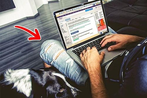 13 thói quen tai hại 'tàn phá' laptop của bạn