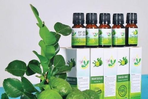 Bay xa tinh dầu trái chúc Bảy Núi
