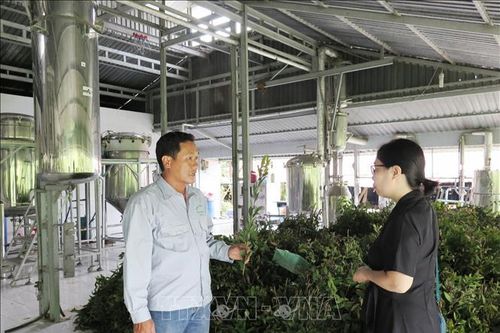 Sức bật mới của du lịch Long An - Bài cuối: Tháo gỡ khó khăn để phát triển bền vững