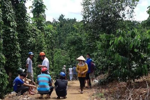 Phát hiện thi thể 3 bố con trong chòi rẫy