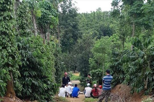 Phát hiện 3 cha con tử vong thương tâm trong chòi rẫy