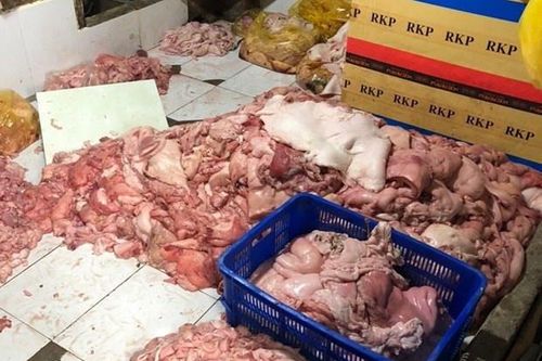 Đồng Nai bắt và tiêu hủy 1,5 tấn thịt lợn hôi thối