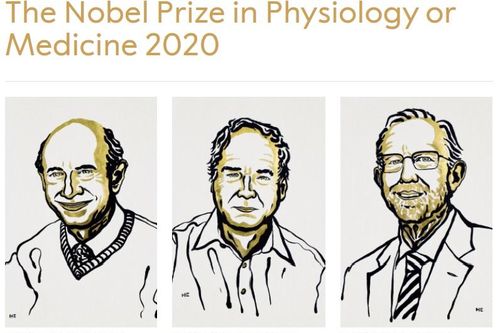 Nobel Y học 2020 vinh danh công trình nghiên cứu về virus viêm gan C
