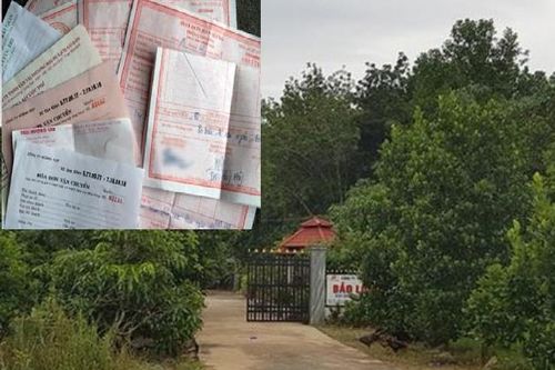 Công ty cao su có doanh thu hàng nghìn tỷ đồng bị đề nghị điều tra