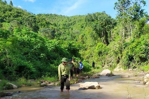 Mường Chà tăng cường giải pháp quản lý, bảo vệ rừng