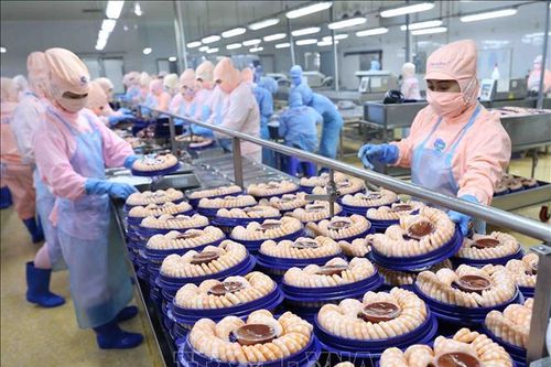 Tôm Việt vững thị phần tại Anh