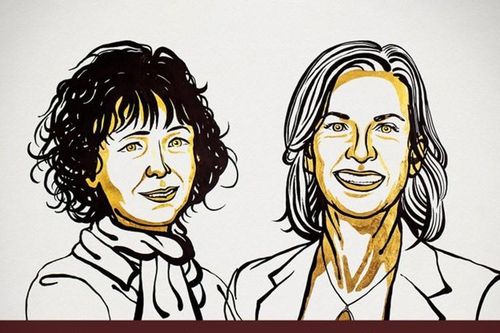 Công bố Giải Nobel Hóa học 2020