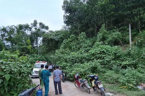 Tá hỏa khi phát hiện bộ xương người trong rừng keo