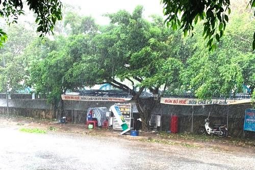 Đảo Lý Sơn thiệt hại nặng do bão số 6
