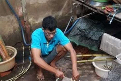 Sinh viên nuôi dúi, 'bỏ túi' hơn chục triệu đồng mỗi tháng