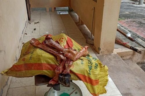 Lạng Sơn: Thu giữ 180kg nầm lợn, xương ngựa nhập lậu