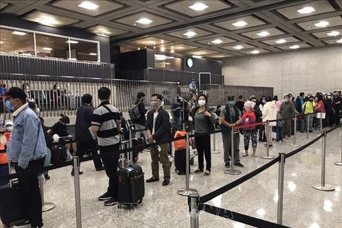 Đưa trên 340 công dân Việt Nam từ Hoa Kỳ về nước