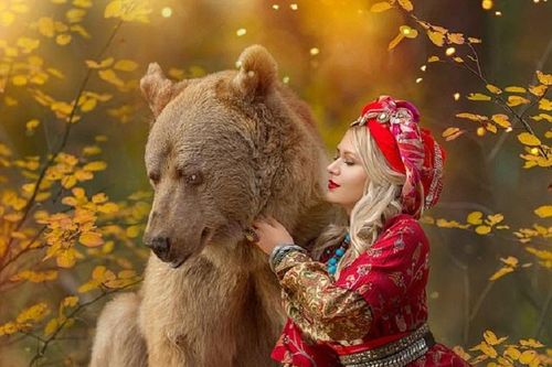 Gấu nâu bị mẹ bỏ rơi trở thành mẫu ảnh nổi tiếng