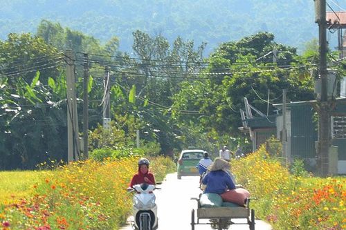 Sức sống nông thôn mới