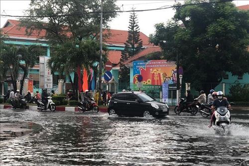 Mưa lớn ảnh hưởng đến sản xuất, sinh hoạt của người dân Bạc Liêu