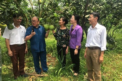 Điểm tựa cho sự phát triển của đất nước