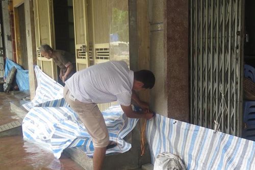 Mưa kỷ lục, thành phố Thái Bình ngập sâu, lúa gãy trên diện rộng