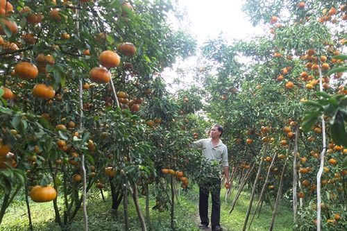 Đại hội Đại biểu Đảng bộ tỉnh sẽ chính thức khai mạc vào ngày 18/10