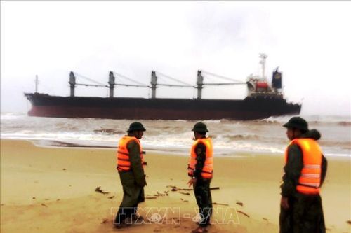 Quảng Bình: Tàu hàng 26.000 tấn gặp nạn khi đang tránh trú bão