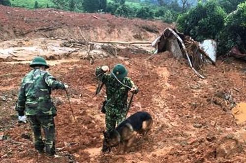 Chó nghiệp vụ của bộ đội biên phòng xác định vị trí chính xác thi thể 4 cán bộ, chiến sĩ Đoàn KTQP 337 gặp nạn