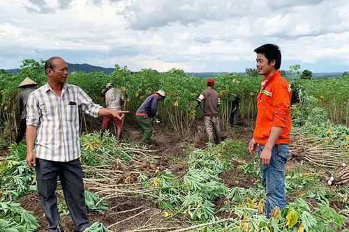 Tỷ phú 'chân đất' ở Pờ Tó