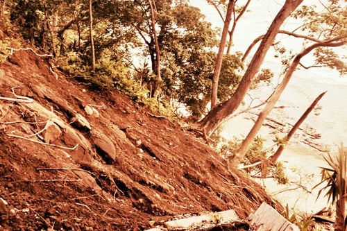 Những biện pháp độc đáo phòng ngừa lở đất trên thế giới