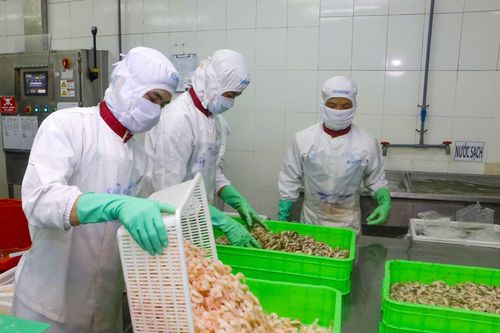 'Chật vật' cân đối ngân sách trong bối cảnh COVID-19