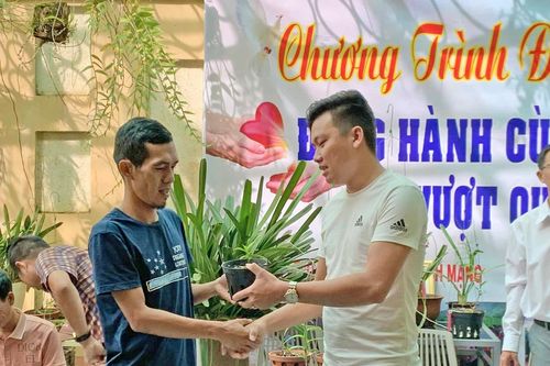 Gia Lai: Đấu giá hoa lan ủng hộ đồng bào miền Trung