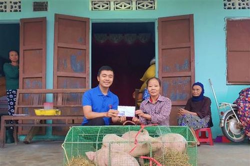 Hỗ trợ lợn giống và tiền cho 'Địa chỉ cần giúp đỡ' của Báo Quảng Trị