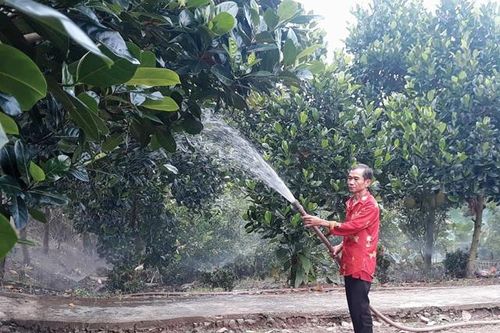Nỗ lực vượt khó thoát nghèo