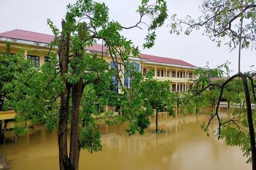 Giữa vùng lũ, hiệu trưởng gửi thư ngỏ mong trò đến trường không cần tự ti, lo lắng vì thiếu sách vở, đồng phục