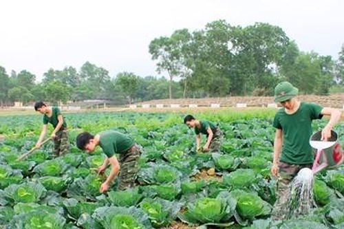 Tạo bước chuyển mạnh mẽ, vững chắc, nâng cao chất lượng công tác hậu cần quân đội