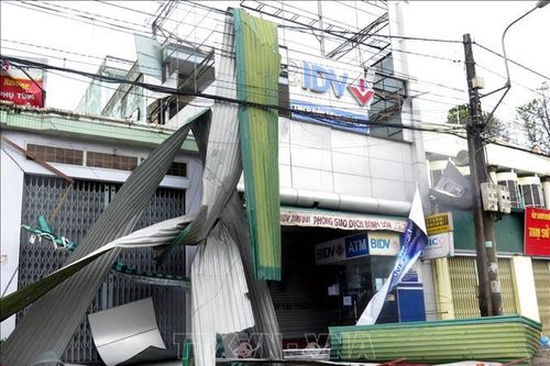 Quảng Ngãi, Bình Định 'tan hoang' trong bão số 9