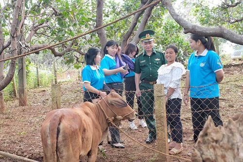 Chương trình 'Đồng hành cùng phụ nữ biên cương': Thiết thực, lan tỏa