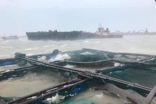 Bão số 9 khiến hơn 56.000 nhà dân bị tốc mái