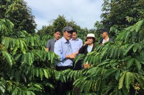 'Giữ sức khỏe' cho đất bằng kỹ thuật canh tác mới