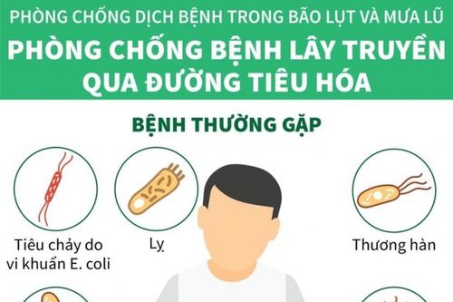 Cách phòng bệnh tiêu chảy, thương hàn mùa lũ lụt