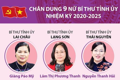 Chân dung 9 nữ Bí thư Tỉnh ủy nhiệm kỳ 2020-2025
