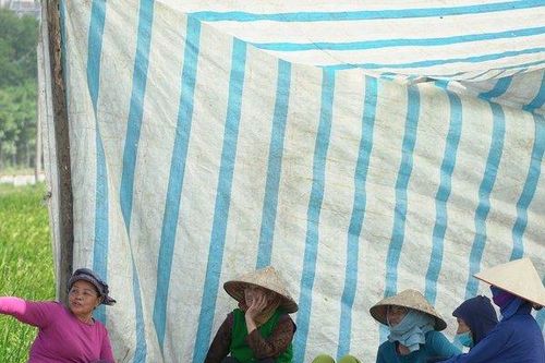 Người dân tại Nam Sơn: Mong sớm được giải quyết những kiến nghị