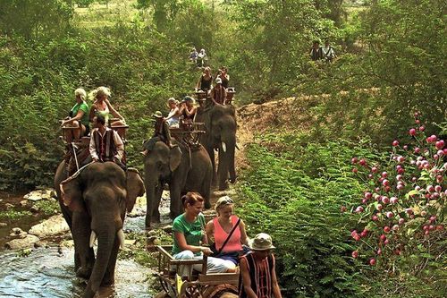 Lượng khách giảm sút, Đắk Lắk vẫn ''siết chặt'' hoạt động du lịch