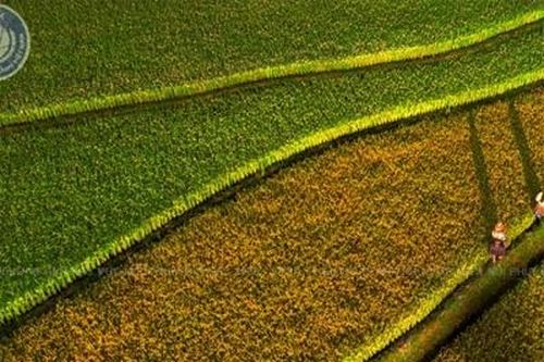 Phú Thọ đoạt Huy chương Đồng tại Liên hoan ảnh nghệ thuật Khu vực miền núi phía Bắc